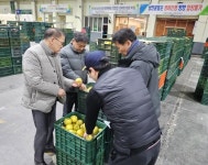 안동농협 농산물공판장 사과 유통 선진화 선도