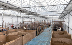 [축산 고수 따라잡기] 초방리농장 민권식 대표 | 월간축산