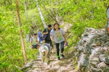 반려견과 숲속에서 특별한 하루…‘댕댕트레킹’ 가볼까