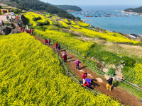 완도 청산농협, 청산도 관광 이끈다