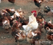 [별별인생] “화학비료 대신 미생물 사용…농업 패러다임 변화 앞장”