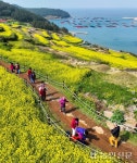 청산도 관광 활성화 ‘팔걷어’