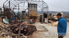 [역대 최악 산불] 평생 일궈온 밤·감나무 ‘잿더미’…“먹고살 길 막막”