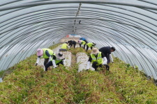 범농협, 전북 김제서 농촌 일손돕기 시작