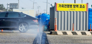 무안서 ‘돼지 구제역’ 신규 3건 발생…3월13일 이후 구제역 19건으로