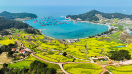 SNS 뒤집은 인생샷 성지…알고보니 ‘OO농업’의 힘