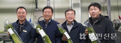 ‘돌미나리’로 농가소득 ‘쑥쑥’