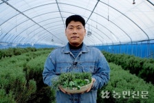 [NBS 하이라이트] 허브 재배해 연매출 5억 올리는 이정환씨