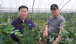 “블루베리, 지역특산품으로 육성 목표”