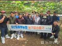 성산일출봉농협, 키위 농가 일손돕기