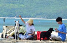 댕냥이와 드넓은 잔디밭서 뛰놀고, 여름엔 해수욕도 즐기고