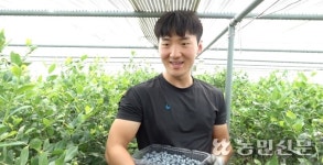[NBS 하이라이트] ‘농수저’ 김태현씨의 블루베리농장 운영기