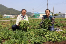 경남 고성동부농협, 시금치 경매식 집하장으로 농가소득증대 기여