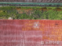 돈사 차열 페인트 시공