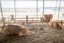 [지속 가능한 축산] 대창농장 연호경 대표 | 월간축산