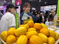 ‘성주 참외’ 일본서 먹혔다…농협, 한국 농식품 홍보 나서