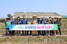 제주 한림농협, 마늘 수확 봉사