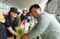 경기 가평군농협, 학생·학부모 초청 손모내기 체험 진행