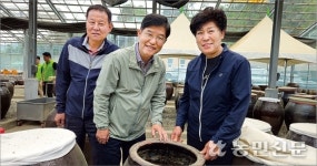 콩 가공·판매사업 활성화 ‘총력’
