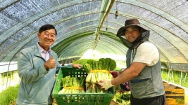 포천 가산농협, 채소 플라스틱상자 포장 도입 농가 호평