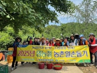완주 구이농협, 매실 수확현장서 구슬땀