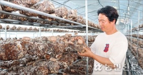 천연 광물 ‘일라이트’ 농업 활용 무궁무진