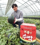 [청년농이 뛴다] 단맛 강한 ‘흑수박’으로 차별화…직거래 판로 ‘활짝’