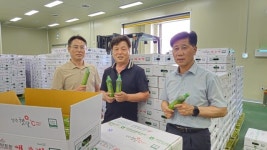 양주 은현농협, ‘어하둥둥 애호박’ 농가 수취가격 증대 온힘
