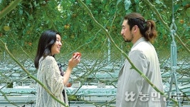 [NBS 하이라이트] 30대 청년 3인의 토마토농장 도전기