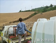 “강원지역 가뭄 재해수준”…고랭지배추 농업용수 확보 ‘비상’