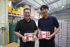 전북 무주 구천동농협, 여름딸기 시장 공략 ‘성공적’