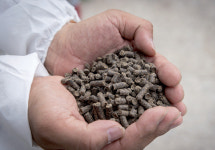 [新부자유친] ‘친환경 양계’ 물려주니 ‘동물복지’로 도약하다 | 월간축산