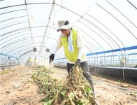 수해 현장 찾은 농협손보, 복구작업 ‘앞장’