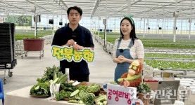 청년농 생산 샐러드, 라이브커머스 판매 도와