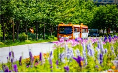 [주말 PICK!] 별빛 아래 꽃 산책…열대야 없는 ‘숲캉스’ 명소 어디?