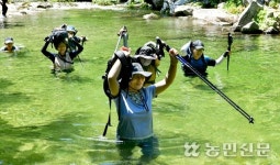 거센 물살 헤치며 물길 따라 원시림 속으로 ‘트레킹’