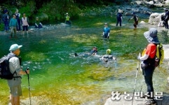 거센 물살 헤치며 물길 따라 원시림 속으로 ‘트레킹’