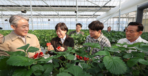 농협 ‘보급형 스마트팜’ 확대 전력