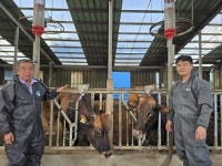 강원 고성축협, 군·농협경제지주와 손잡고 토종 한우 ‘칡소’ 산업화 박차