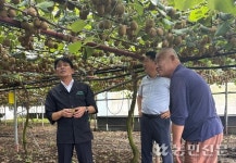 성산일출봉농협, 지역 키위 농가 현장점검