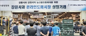 ‘강원사과’ 온라인도매시장 상장거래 ‘주목’