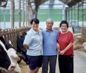 [新부자유친] 믿음직한 장녀의 세심한 개선으로 목장 성적 빛나다 | 월간축산