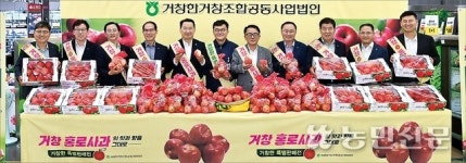 “거창 ‘홍로’ 사과 맛보세요”