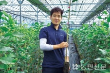 ‘사과 포트묘목’ 수급불안 대안으로 급부상