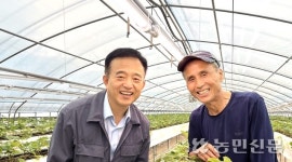 [보급형 스마트팜] 딸기농가 LED보광등 설치 효과 ‘기대’