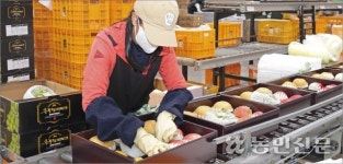 보은 거점 APC, 유통기지 ‘부상’