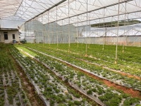 ‘K-가축분 퇴비’ 베트남 공략 강화