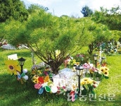 “동물 아닌 가족인데”…화장 가능한 ‘펫’ 장례시설 ‘태부족’