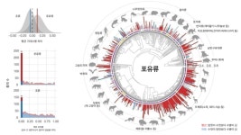 여성이 남성보다 오래 사는 이유?…뿌리깊은 OO의 결과
