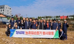 경기 용인 수지농협 장년부, 조합원 농가서 고구마 수확 일손돕기